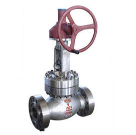 API globe valve