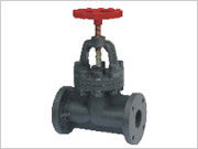 Flange globe valve